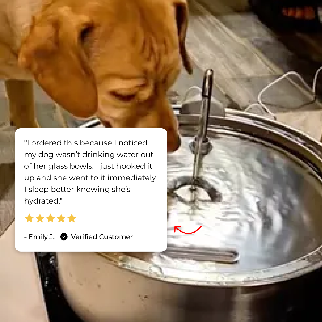 Wagwells™- Dog water fountain