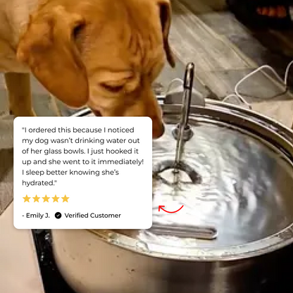 Wagwells™- Dog water fountain