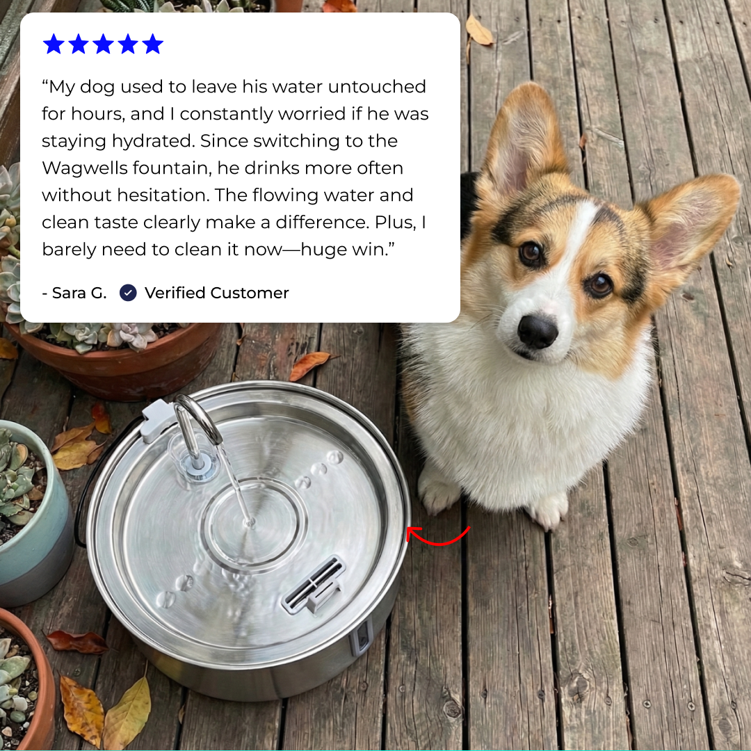 Wagwells™- Dog water fountain