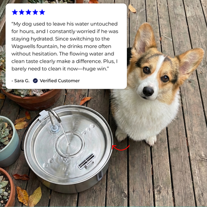 Wagwells™- Dog water fountain