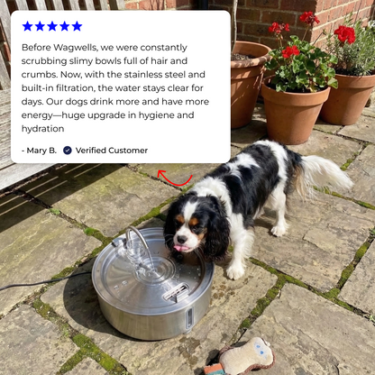 Wagwells™- Dog water fountain