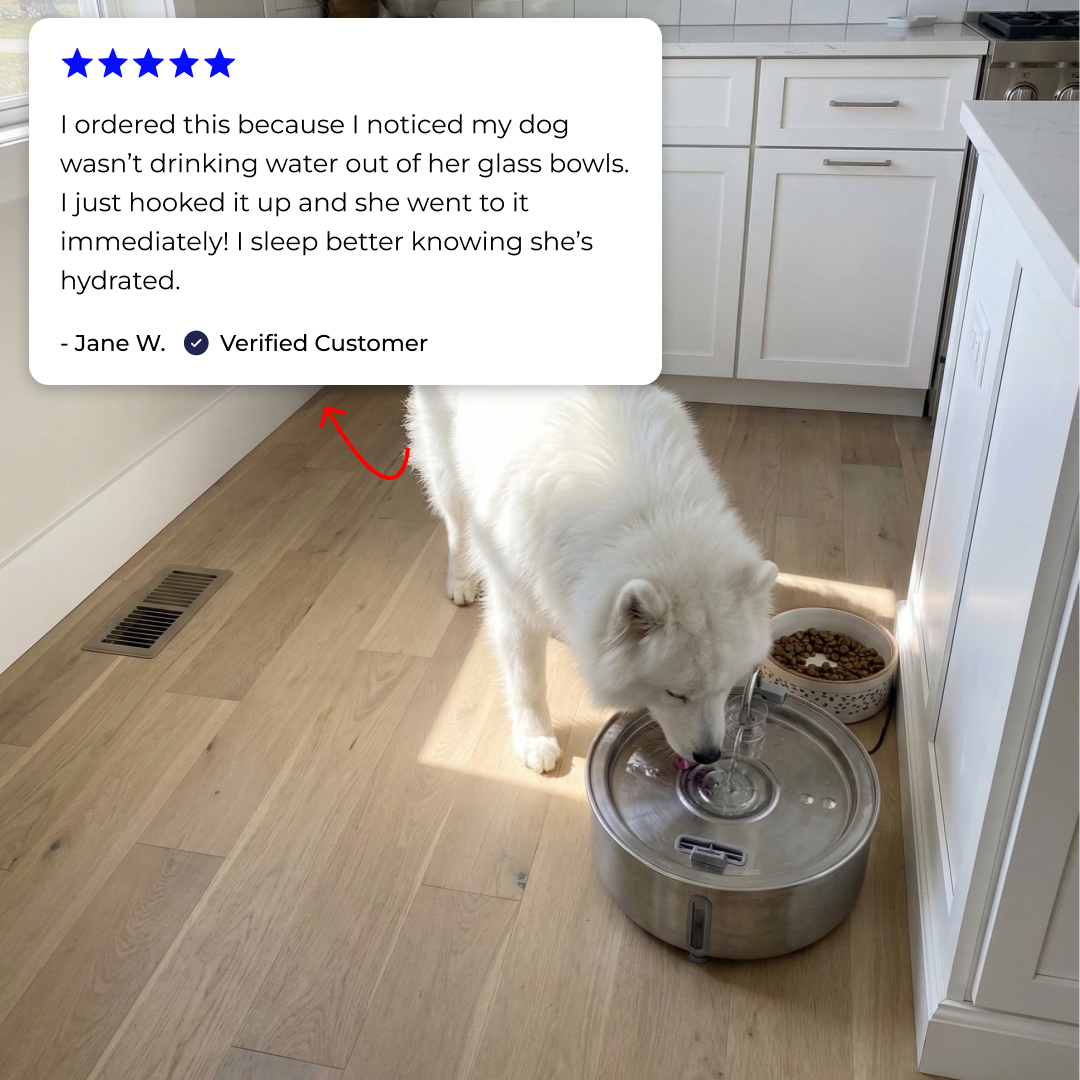 Wagwells™- Dog water fountain