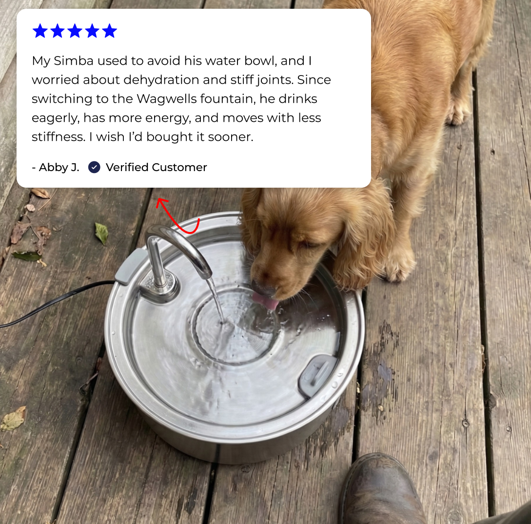 Wagwells™- Dog water fountain