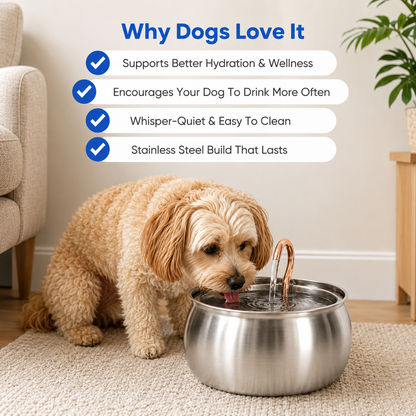 Wagwells™- Dog water fountain