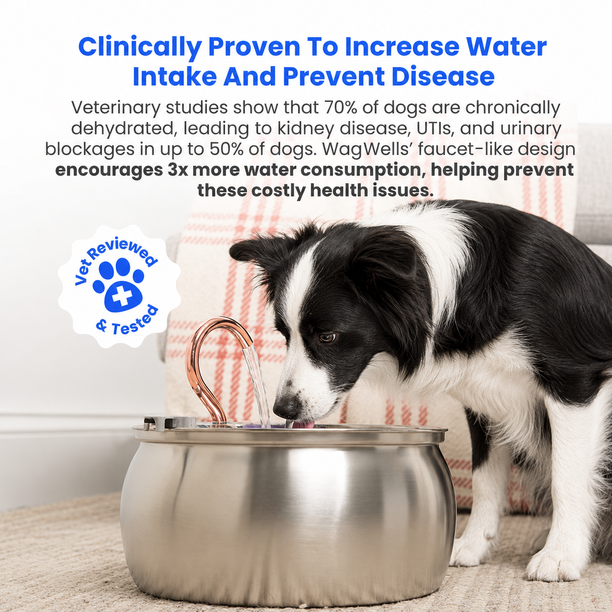 Wagwells™- Dog water fountain