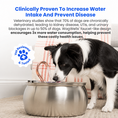 Wagwells™- Dog water fountain