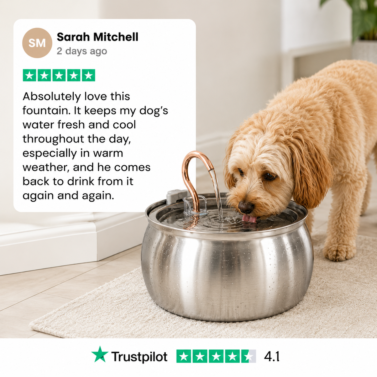 Wagwells™- Dog water fountain