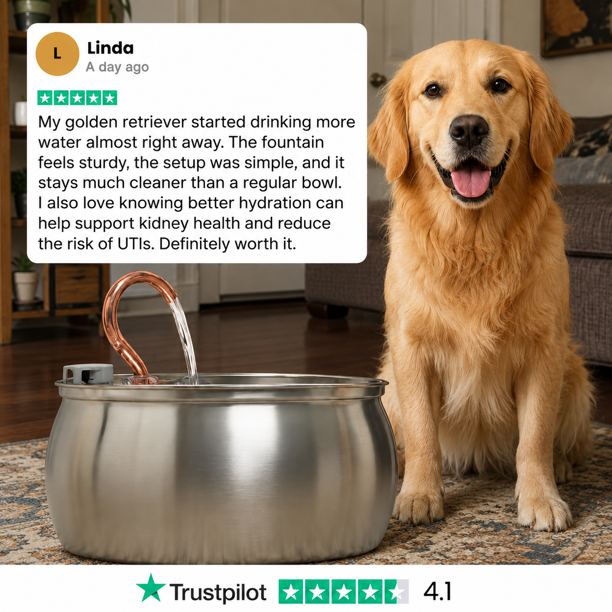 Wagwells™- Dog water fountain