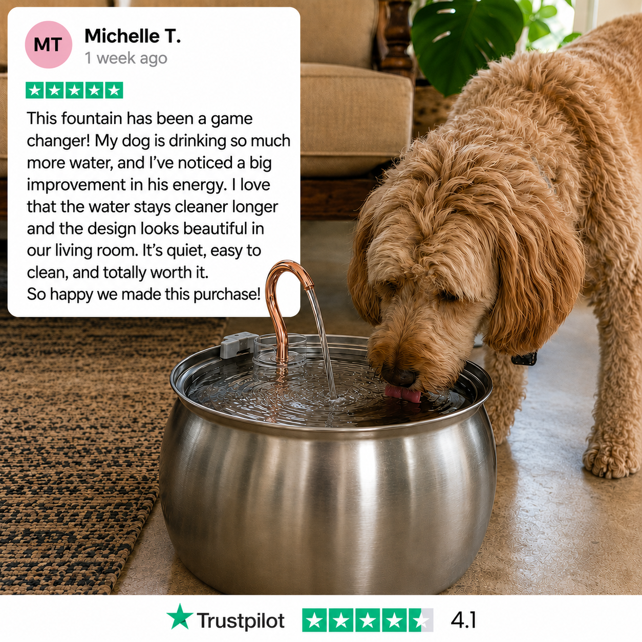 Wagwells™- Dog water fountain